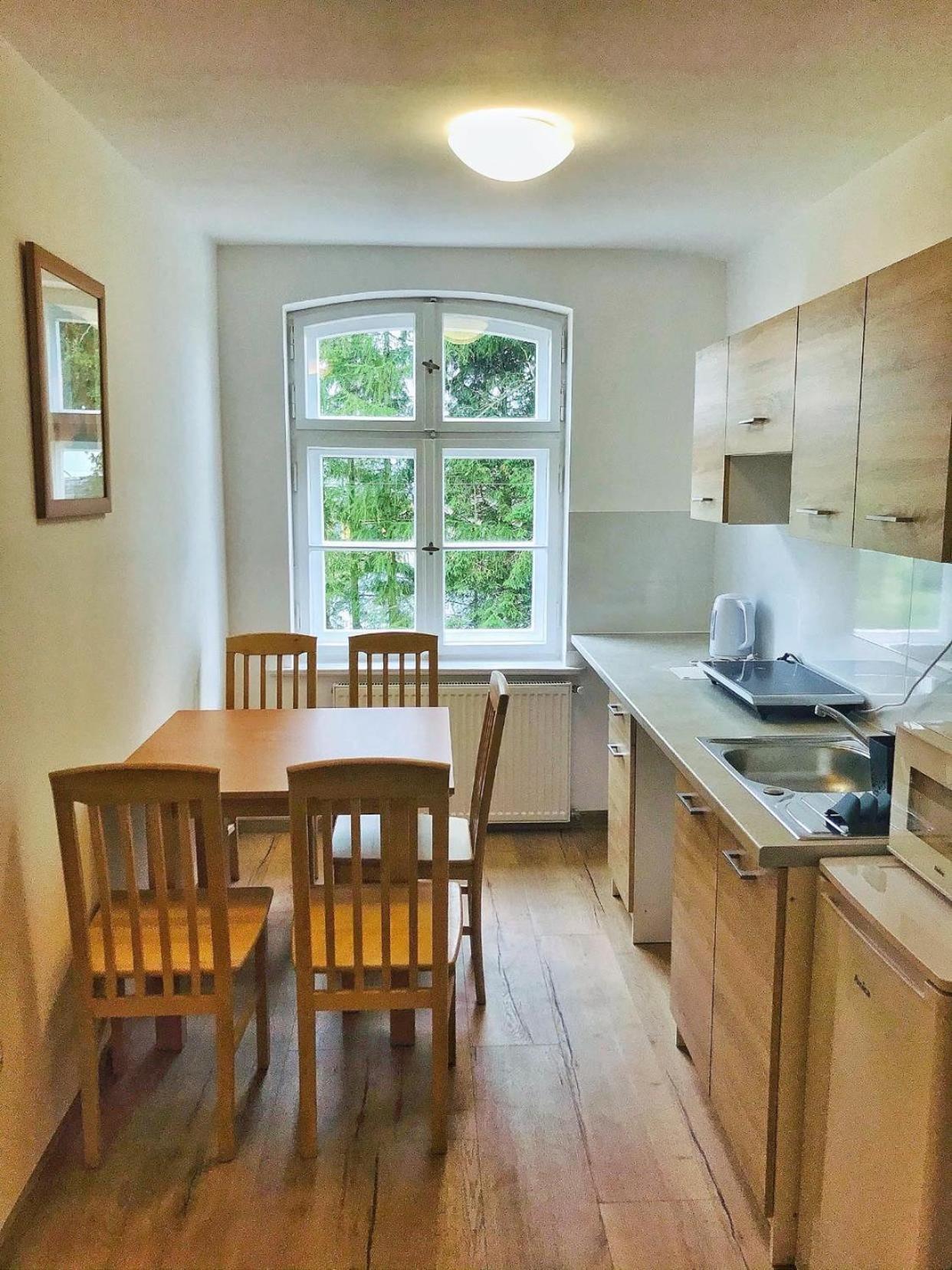 Apartamenty Cegielka Гонски Экстерьер фото