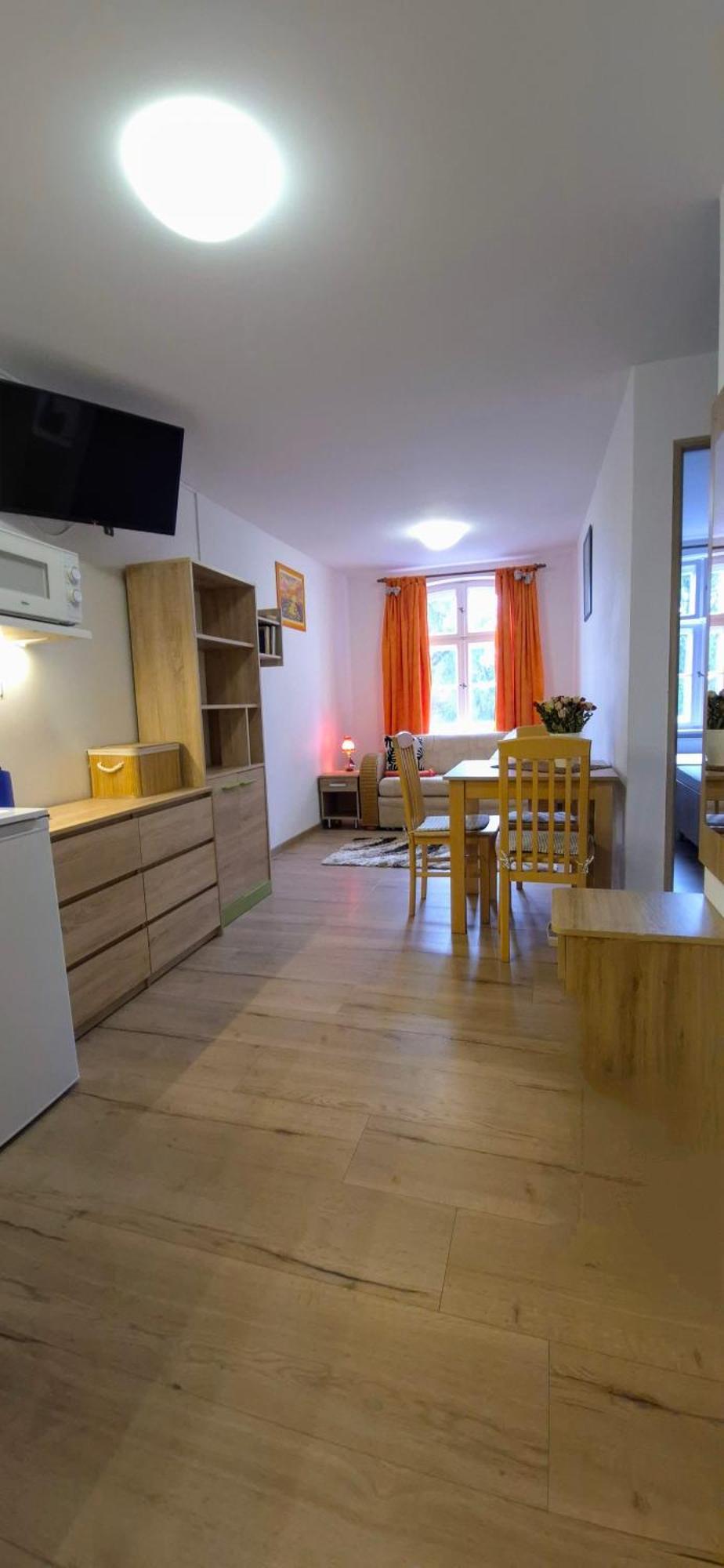 Apartamenty Cegielka Гонски Экстерьер фото